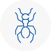 Ant Removals In Wickford