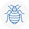 Bed Bug Extermination In Wickford