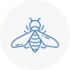 Bee Nest Removal Wickford