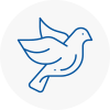 Bird Prevention Wickford