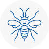 Wickford Hornet Nest Removals