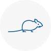 Mice Exterminators In Wickford