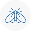 Moth Control Specialists In Wickford