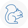 Wickford Rodent Removals