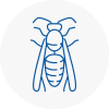 Wickford Wasp Nest Removal